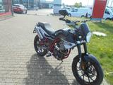 Malaguti Monte Pro Scheckheftgepflegt - MALAGUTI MOTORRAD