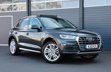Audi Q5 2.0 Quattro/B&O/HUD/360°/4xSHZ/PANO/TOTW/R20 - Audi Q5 mit Benzin-Antrieb: Beheizbares Lenkrad
