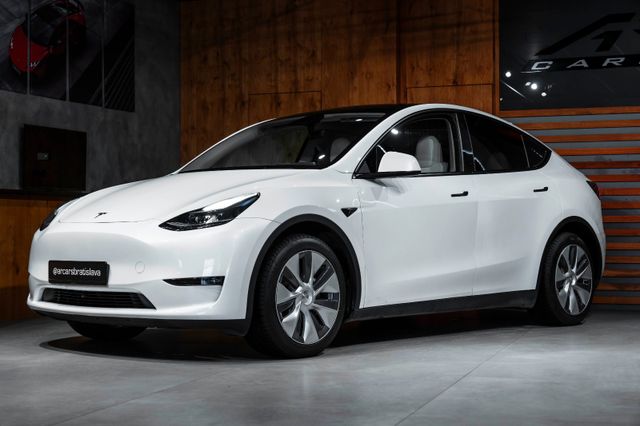 Tesla Model Y Performance Dual AWD*Autopilot*19"