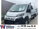 Fiat Ducato Pritschenwagen 35 L3 140 Multijet Maxi EU - : Pritschenwagen