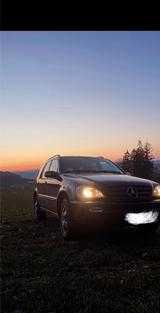Mercedes-Benz Mercedes Benz ML270 CDI W163 Steuerkette neu - gebrauchte Mercedes-Benz ML 270 aus dem Jahr 2003