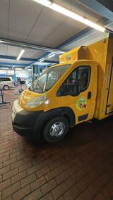 Fiat Hähnchen wagen mit neuer tüv fahrbereit ta... - gebrauchte Fiat Ducato aus dem Jahr 2007