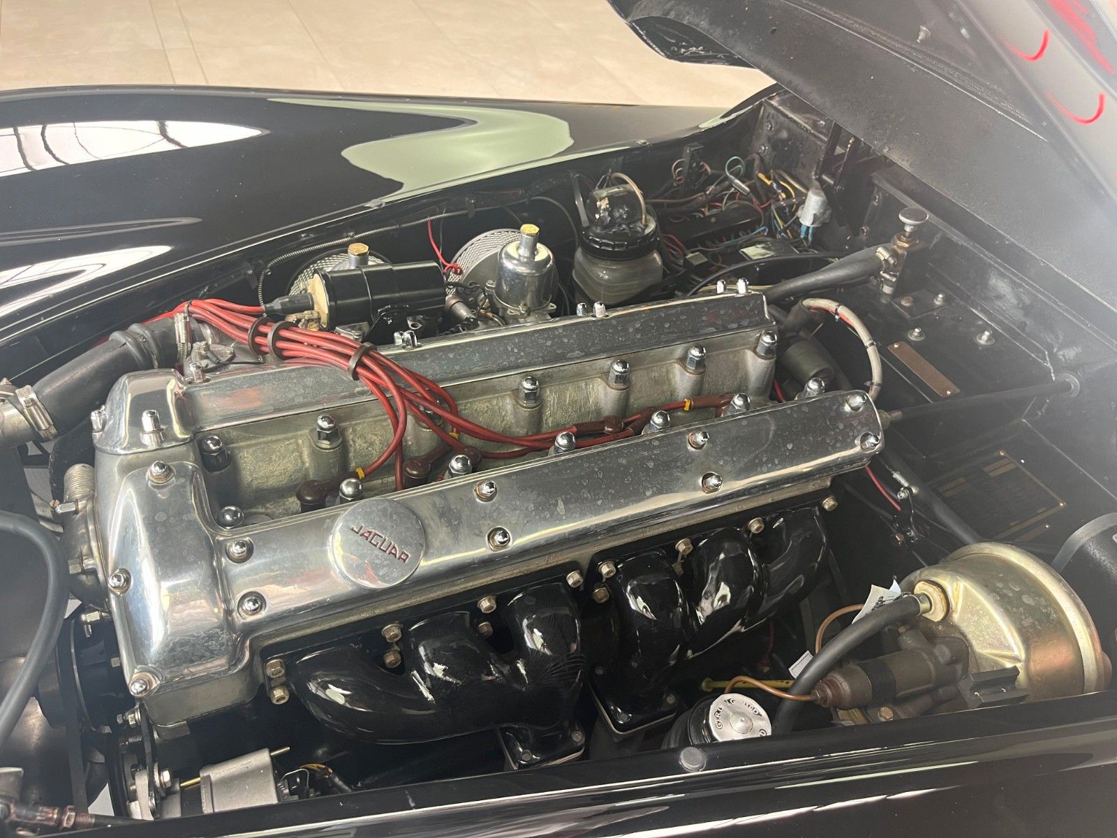 Fahrzeugabbildung Jaguar XK 140 SE-C OTS Roadster