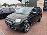 Fiat Panda Cross City Plus Hybrid - Fiat Panda Gebrauchtwagen in Augsburg