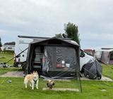 Bürstner Delfin Limited Edition  - Bürstner Delfin