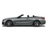 BMW M850 i xDrive Cabrio Laserlicht Park-Assistent - BMW: Assist