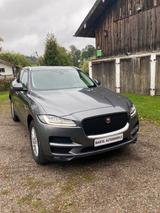 Jaguar F-Pace F-PACE Prestige AWD / AHK / LEDER - gebrauchte Jaguar F-Pace aus dem Jahr 2019