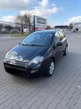 Fiat Punto 1.2 8V - - Fiat Punto Gebrauchtwagen in Nürnberg