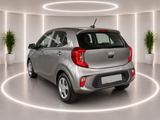 Kia Picanto Edition 7*Drive-Assist-Paket*Lenkradheiz - gebrauchte Kia Picanto aus dem Jahr 2023