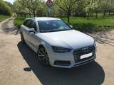 Audi A4 3.0 TDI tiptronic quattro Avant - S-Line - Audi A4: Weiß, Kombi, Line