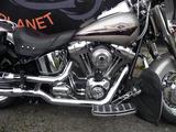 Harley-Davidson FLSTF Fatboy Kess Tech elektrisch 200/  1.800ccm - CCM