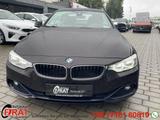 BMW 430 Cabrio d HUD MEMORY LED KAMERA - mit Diesel-Antrieb: Braun, Vollleder