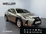 Lexus UX 250h F SPORT Design *Bi-LED*ACC*RCam*SHZ*PDC* - Lexus aus 2023