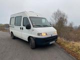 Fiat Ducato 230 2,8 TDI Campervan - gebrauchte Fiat Ducato aus dem Jahr 2000