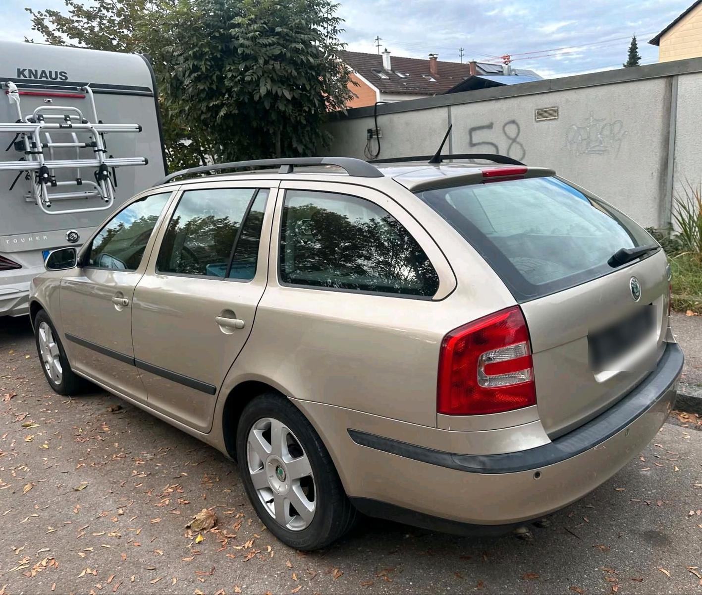 Skoda Octavia 2006 — вигляд ззаду