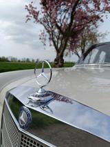 Mercedes-Benz 250s w108 Oldtimer Note 2 sehr gepflegt - Mercedes-Benz: Limousine, W108