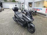 Honda NSS125ADF ED  Forza 1. Hand in TOP Zustand! - HONDA 125I