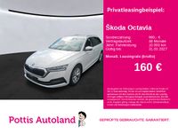 Skoda Octavia - Vorschau Bild 1