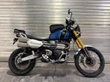 Triumph Scrambler 1200 XE viel Zubehör, Top Zustand - TRIUMPH SCRAMBLER 1200 X