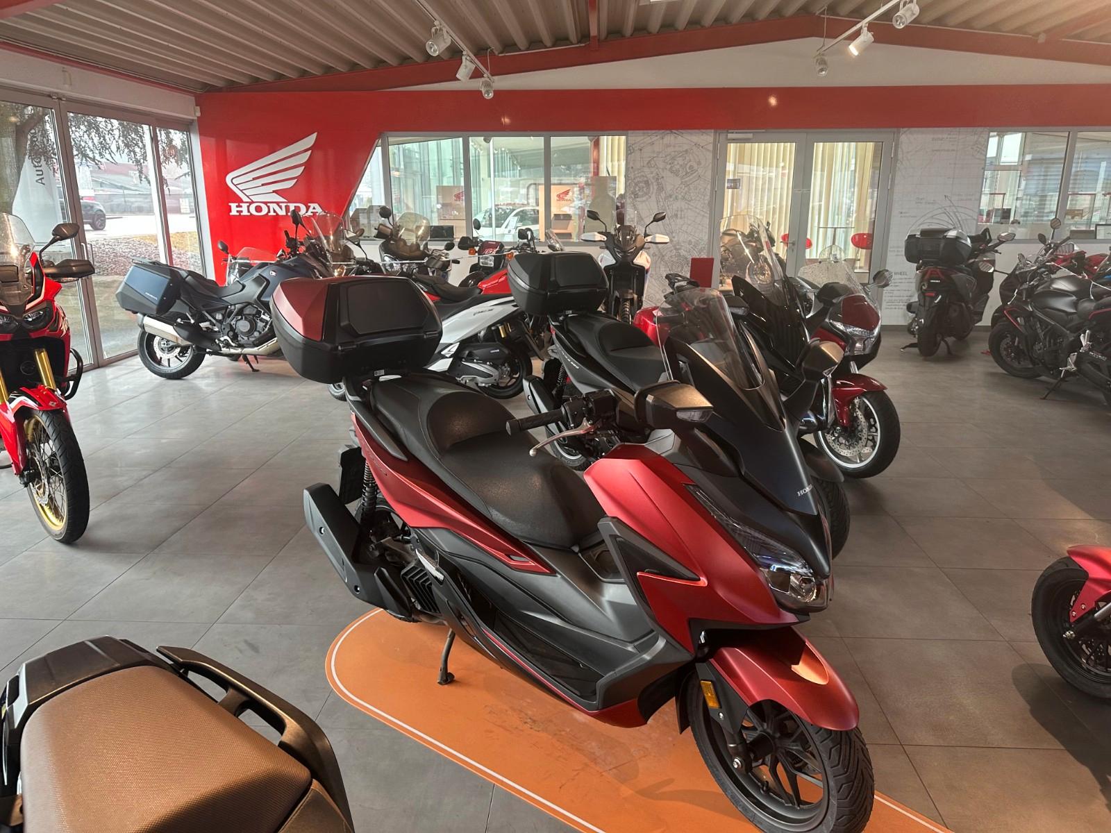 Honda Forza 125   1.hand