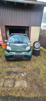 Smart MCC passion - Smart ForTwo: Mcc
