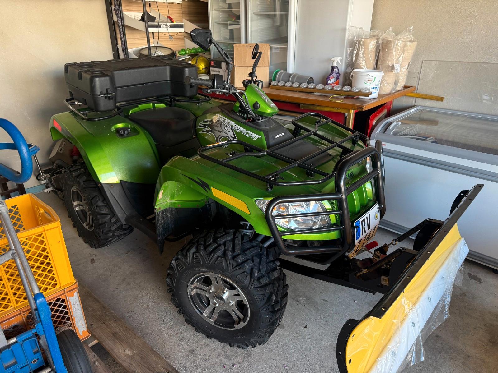 Arctic Cat 1000 Thundercat 2010 — вигляд ззаду