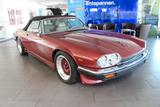 Jaguar XJS V12 5,3l Cabrio*1.HAND*AUTOMATIK*LEDER*H-Ken - Jaguar XJS mit Benzin-Antrieb: Cabrio