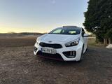 Kia pro_cee'd / ProCeed 1.6 T-GDI GT-Challenge p... - Kia pro cee'd / ProCeed aus 2015