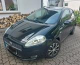 Fiat Punto 1.2 l - gut in Schuß - gebrauchte Fiat Punto aus dem Jahr 2009