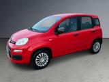 Fiat Panda Easy/ 20.252KM /NEU TÜV / 2 HAND - gebrauchte Fiat Panda aus dem Jahr 2019