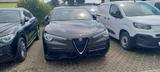Alfa Romeo Stelvio 2.2 Diesel 16V 140W Super AT8-Q4 - Alfa Romeo Gebrauchtwagen in Karlsruhe