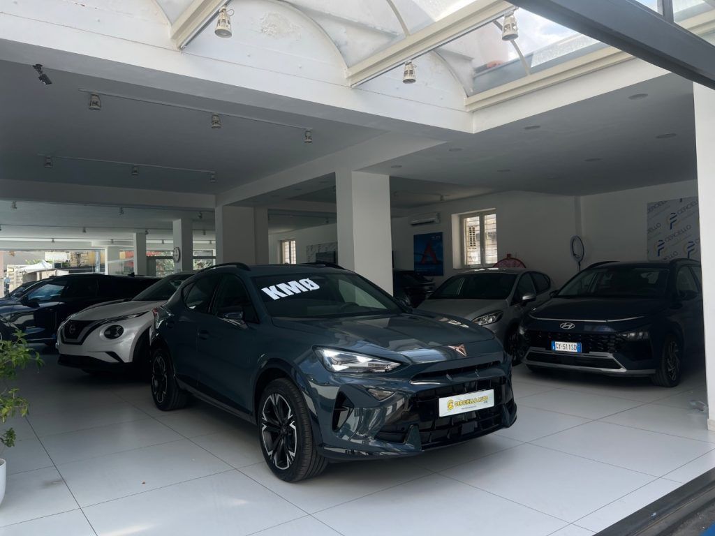 Cupra CUPRA Formentor 2.0 TDI DSG tua da 389,00 mensil imagem 3