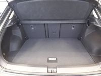 Volkswagen T-Roc - Vorschau Bild 10