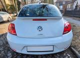 Volkswagen Beetle 1.2 TSI BMT CUP  - Privatanbieter Berlin gebraucht