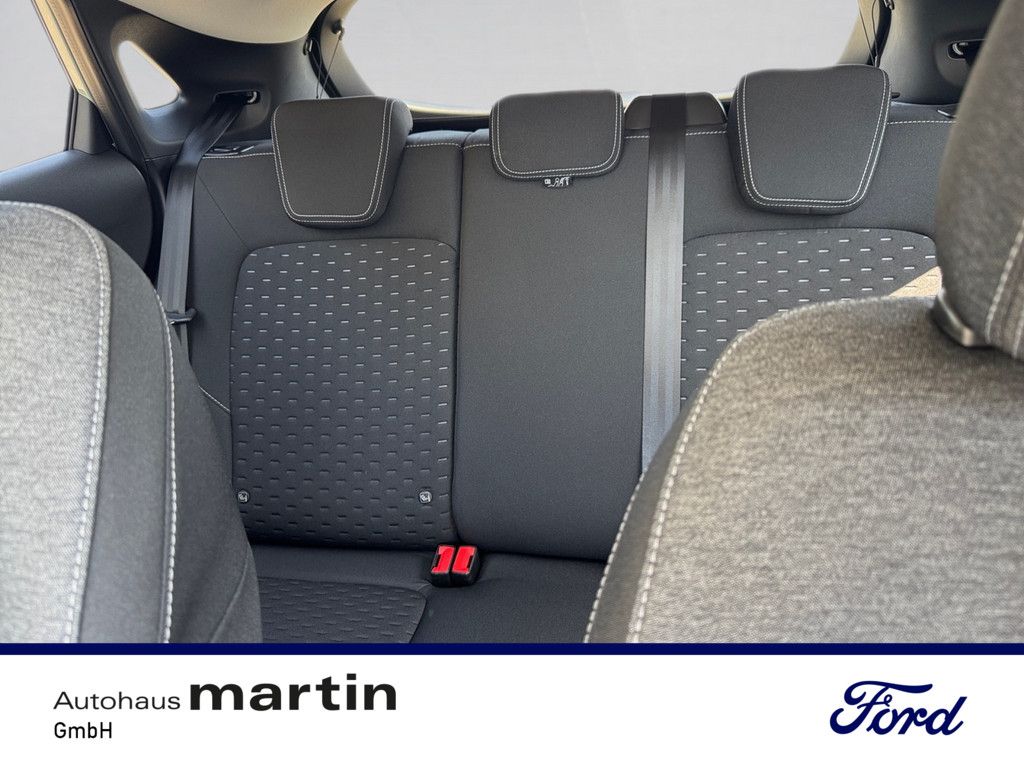 Fahrzeugabbildung Ford Puma 1.0 EcoBoost Titanium S/S