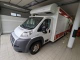 Fiat Ducato Maxi 160PS Verkaufswagen Foodt... - Fiat Ducato: Maxi 160