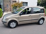 Fiat Panda, 50tkm  - gebrauchte Fiat Panda aus dem Jahr 2007