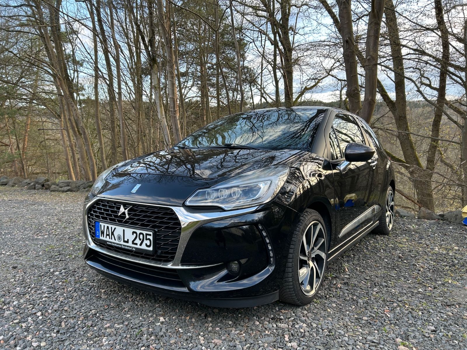 DS DS3