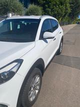 Hyundai TUCSON blue 1.6 GDI Trend2WD Trend - Hyundai TUCSON von privat
