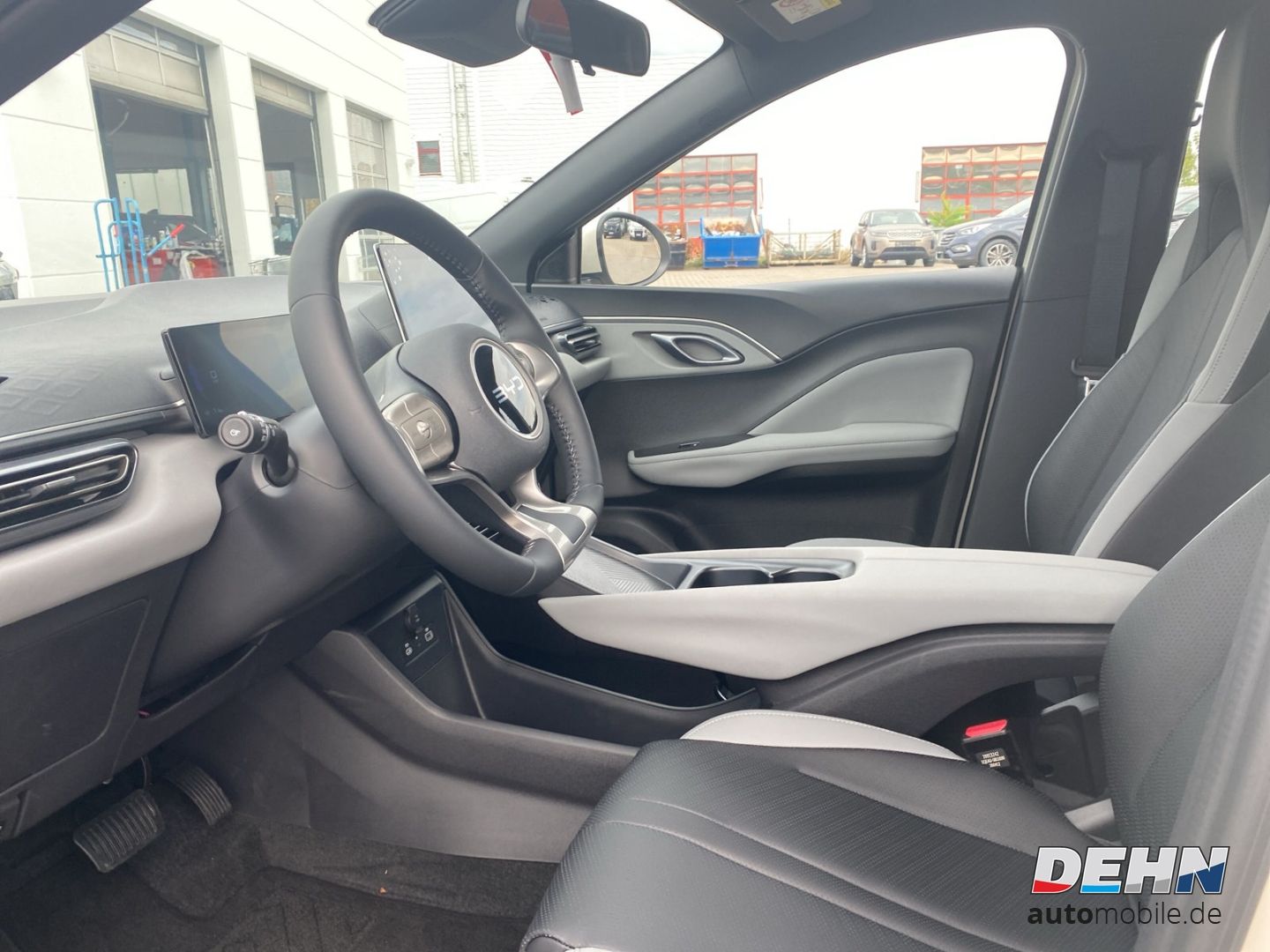 BYD DOLPHIN SURF