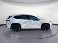 Volkswagen Tayron - Vorschau Bild 6