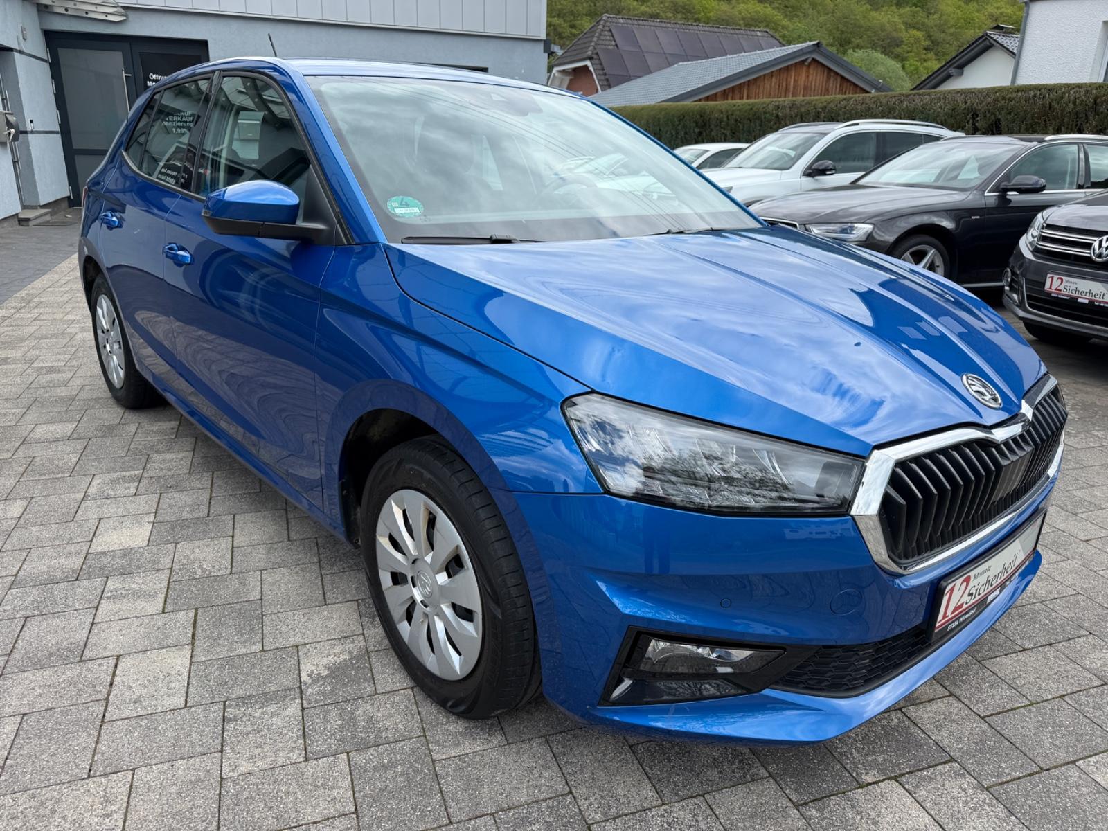 Skoda Fabia 1.0 TSI Selection*R-Kamera*Apple Car Play*, миниатюра 11