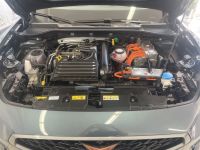 Cupra 