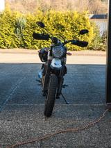 Ducati Scrambler Desert Sled - DUCATI SCRAMBLER DESERT SLED