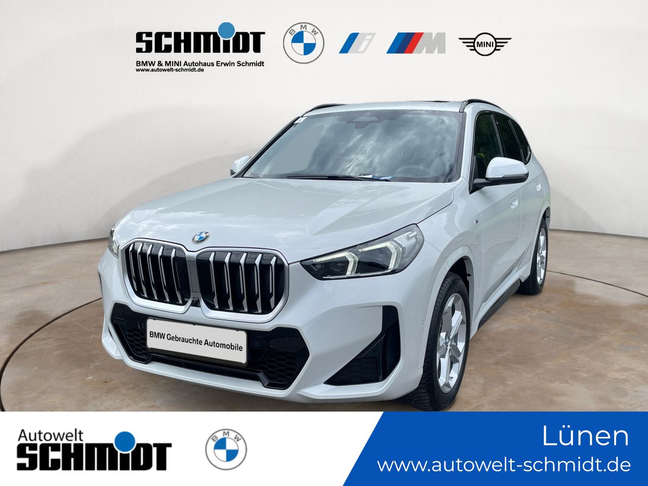 BMW X1 xDrive20d M Sportpaket + GARANTIE-bis-10.2029