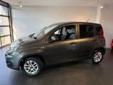 Fiat Panda 1.2 8V More - Fiat Panda in Freiburg