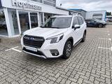 Subaru Forester 2.0ie e-Boxer Comfort LED/ACC/BLIS - Subaru Gebrauchtwagen in Rostock