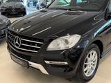 Mercedes-Benz ML 350 CDI BlueTec 1 HAND AHK 3,5t - Mercedes-Benz ML-Klasse Gebrauchtwagen