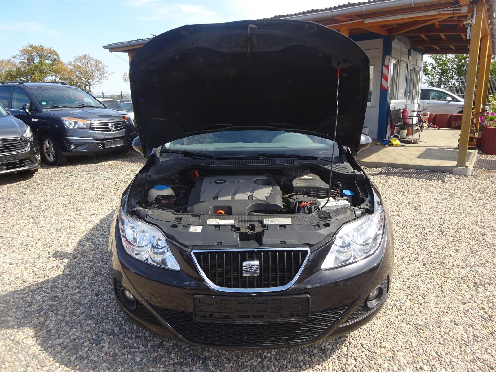 Seat Ibiza 2011 — photo 15