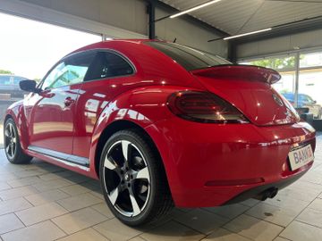 Volkswagen Beetle - 6